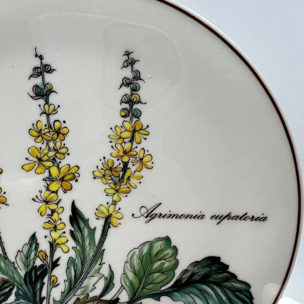 Villeroy & Boch BOTANICA Round Trivet Tea Plate Agrimominia